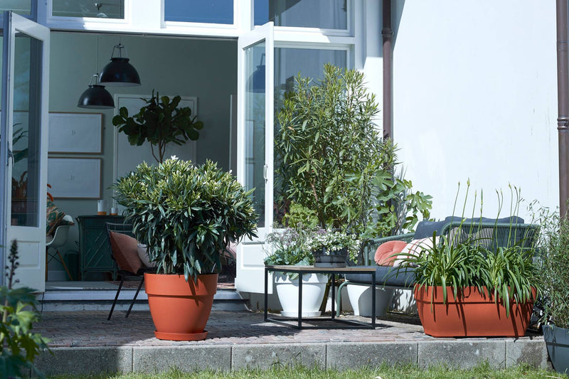 Elho Vibia Campana Bowl range – range lifestyle inspiration