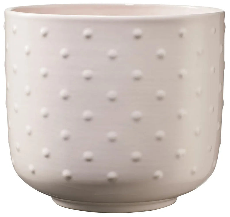 Indoor Pot  Baku Pearl Cream Rose D13Cm X H12Cm