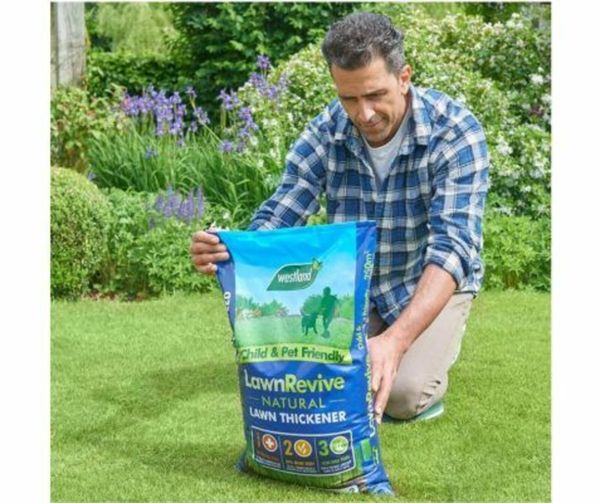 Westland Lawn Revive ( Lawn Thickener) 250m2 Bag