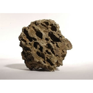Dargon Stone (Medium)