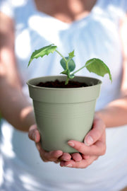 Elho Green Basics Growpot range – range lifestyle inspiration