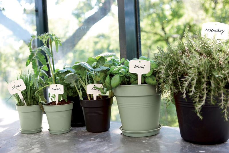 Elho Green Basics Growpot range – range lifestyle inspiration