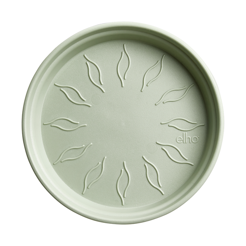 Elho Green Basics Saucer range – additional product view