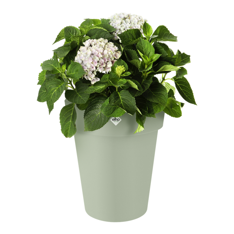 Elho Green Basics Top Planter High 35cm Stone Green – planted display