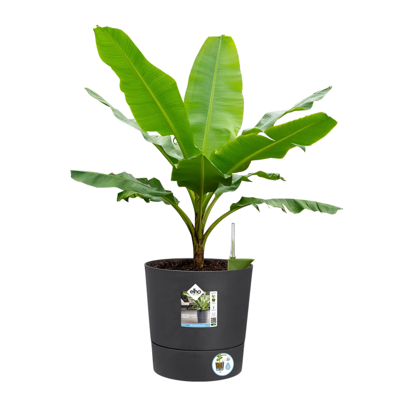 Greensense Aqua Care Round 30cm Charcoal Grey