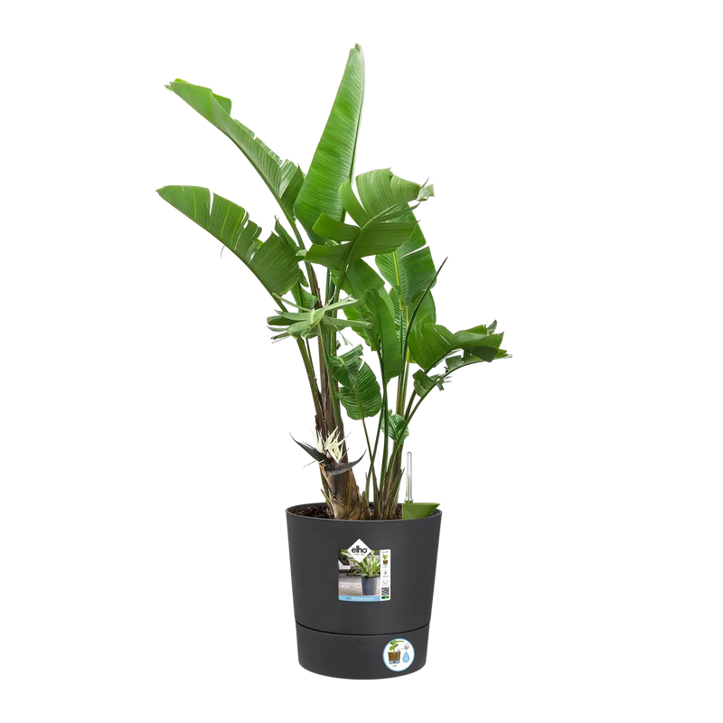 Greensense Aqua Care Round 30cm Charcoal Grey