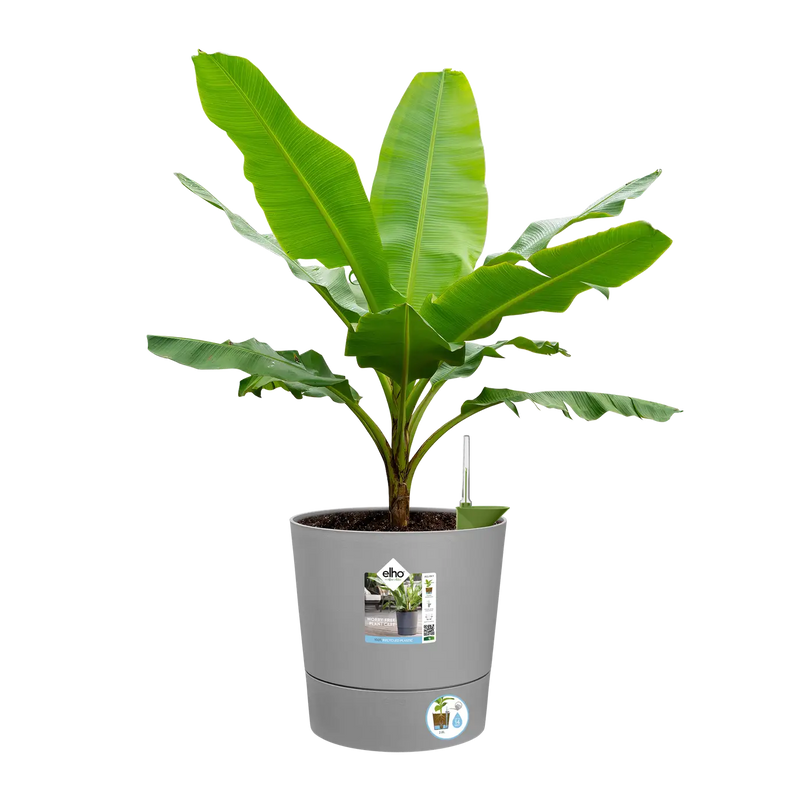 Greensense Aqua Care Round 30cm Light Concrete