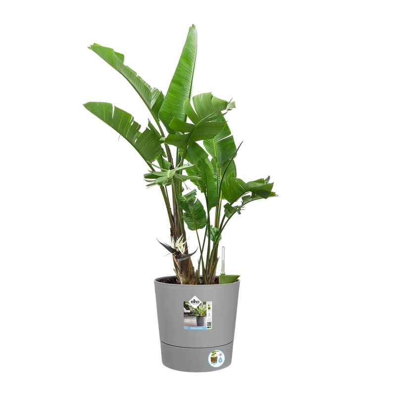 Greensense Aqua Care Round 30cm Light Concrete