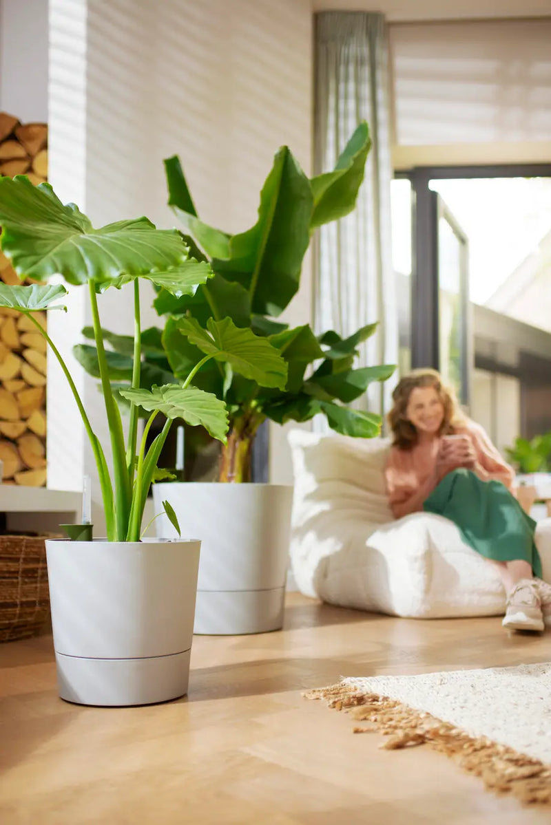 Greensense Aqua Care Round 30cm Light Concrete