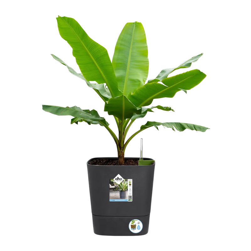 Greensense Aqua Care Square 30cm Charcoal Grey