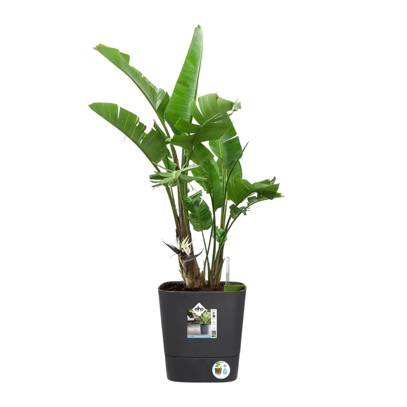 Greensense Aqua Care Square 30cm Charcoal Grey