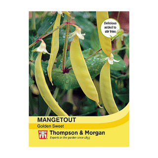Mangetout Golden Sweet