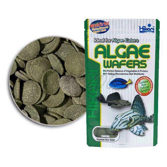 Hikari Mini Algae Wafers (22g)