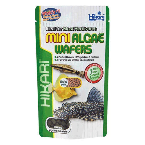 Hikari Mini Algae Wafers (22g)
