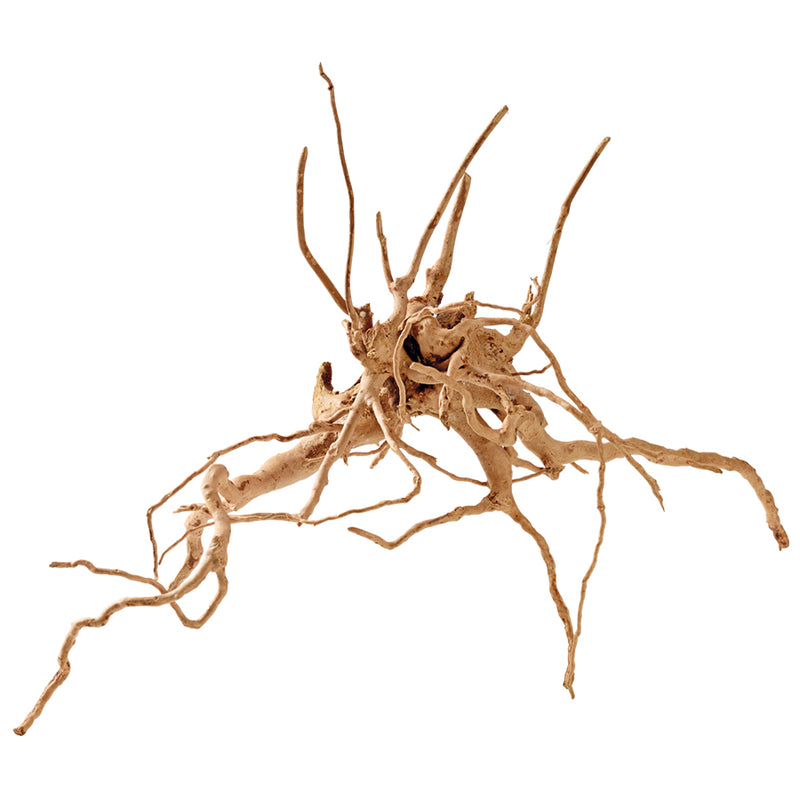 Natural Fingerwood Decor - Per Piece