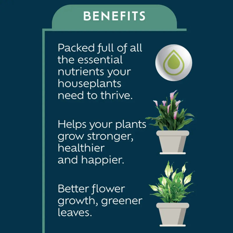 Westland Houseplant Feed 200ml