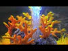 biOrb Tube Aquarium 30 Litre with Multi Colour LED Light-Remote Control Black