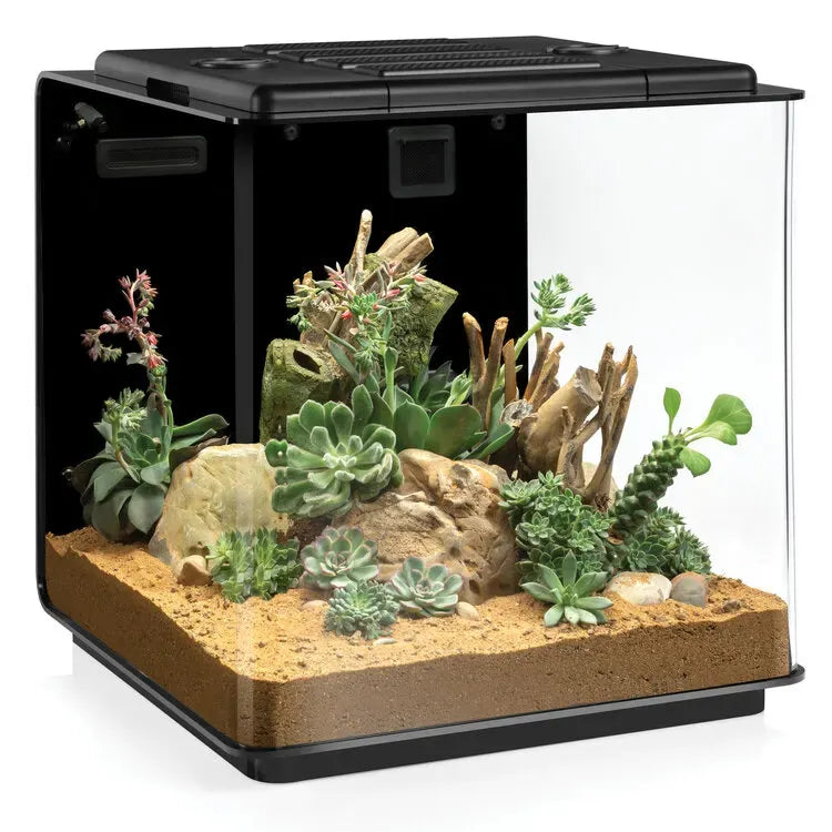 BiOrb Earth Vivarium