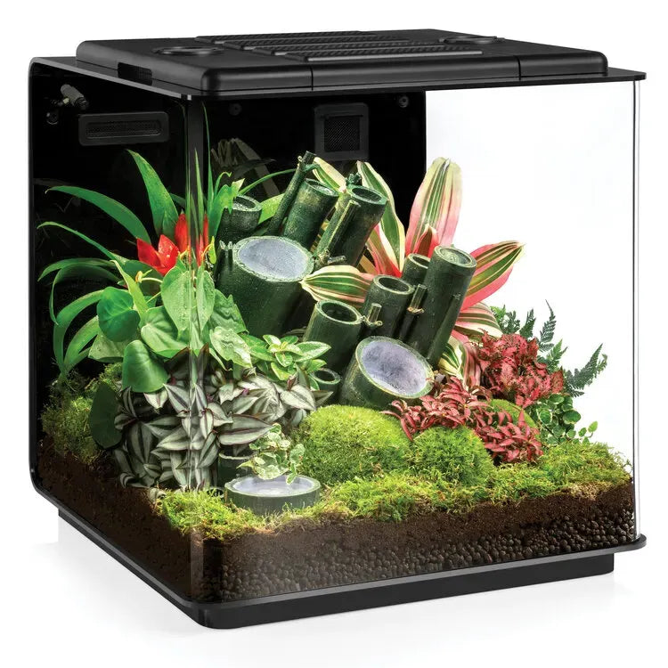 BiOrb Earth Vivarium