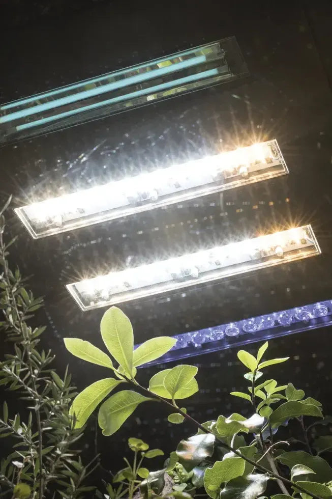 BiOrb Earth Vivarium