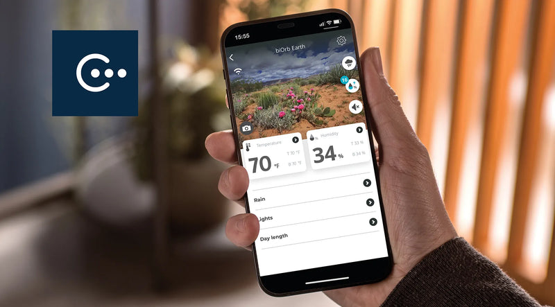 BiOrb Earth Vivarium