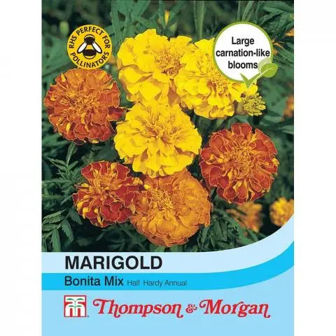 Marigold Bonita Mix French