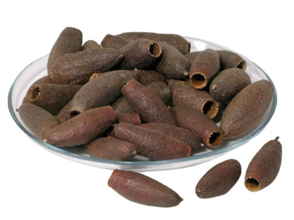 Jequitiba Seed pod (3pk)