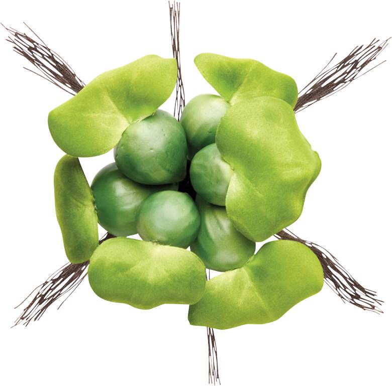 Oase Pontec Pondo Floating Hyacinth 14cm