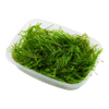Vesicularia ferriei 'Weeping Moss' — Tropica moss portion product image