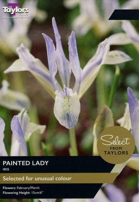Iris 'Painted Lady' Bulbs