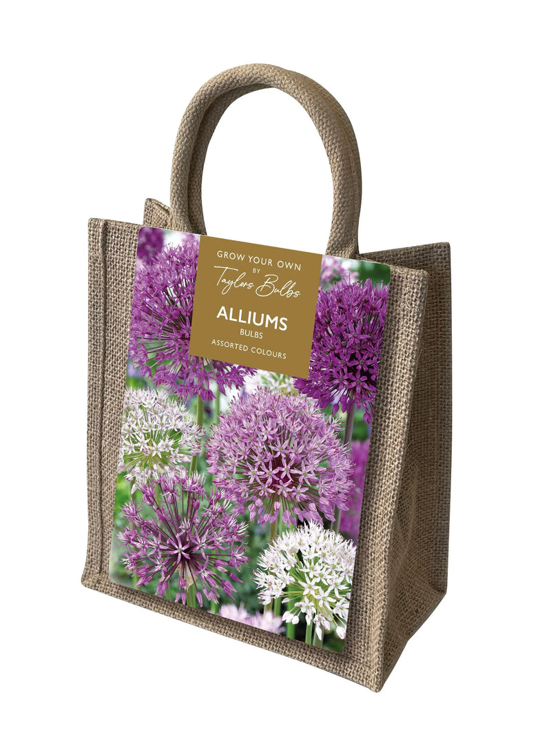 Allium Jute Gift Bag