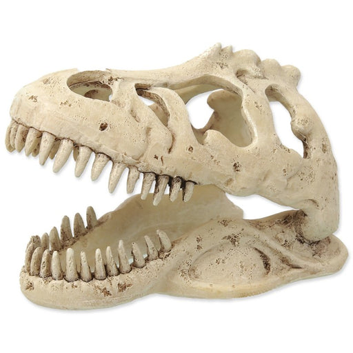 Repti Planet T-Rex Skull product image