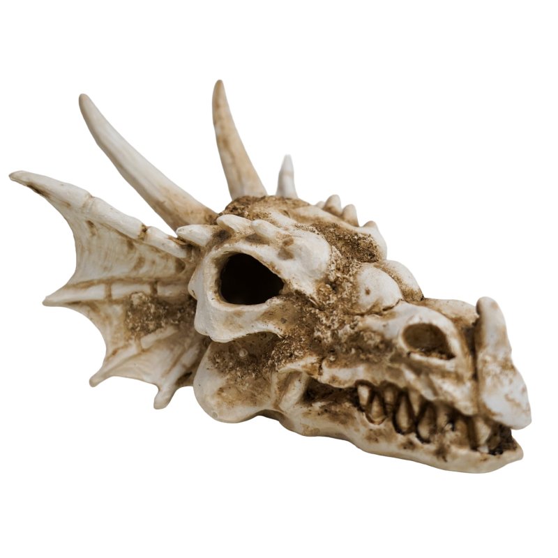 Betta Dragon Skull product image