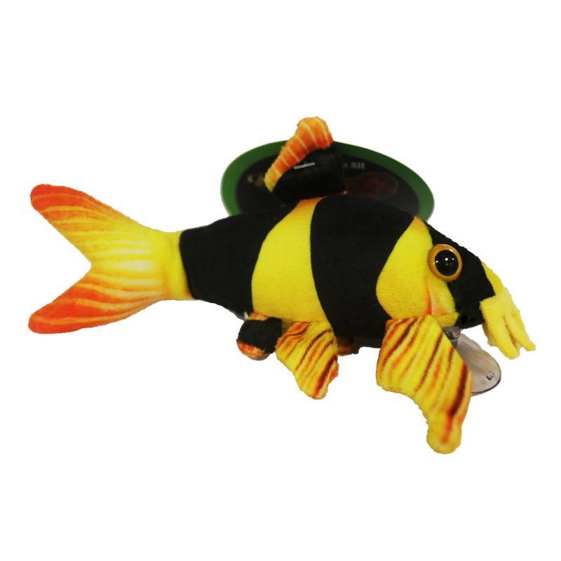 Clown Loach Plush product image