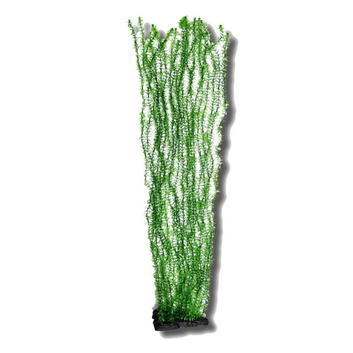 Betta Dark Green 1m Plastic Pond Plant product image