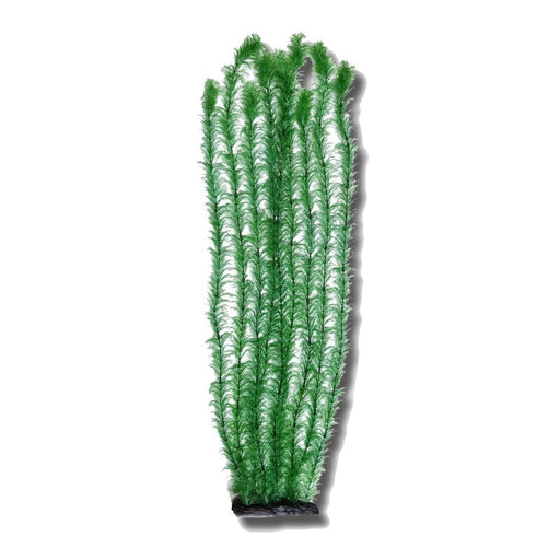 Betta Light Green 1m Plastic Pond Plant product image
