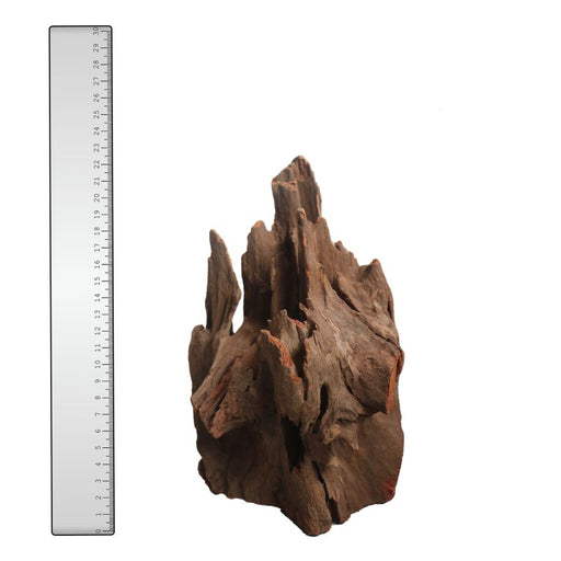 Corbo Root Stump Medium product image