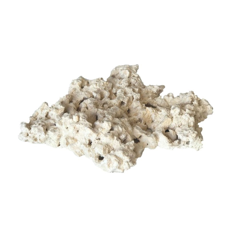 Geo Rock (Sold Per Piece) product image
