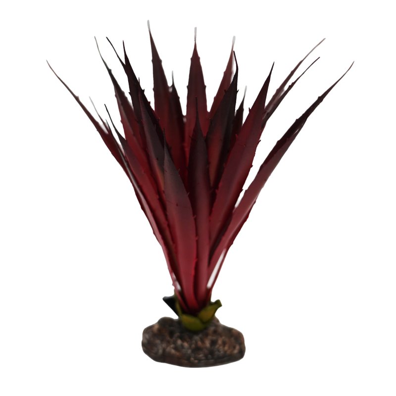 Betta Terra Red Phormium Plant 30cm product image