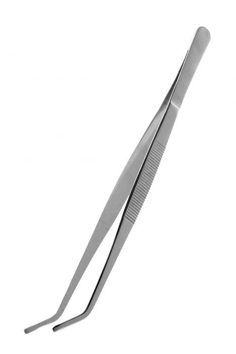 Stainless Steel Feeding Tongs (20cm)