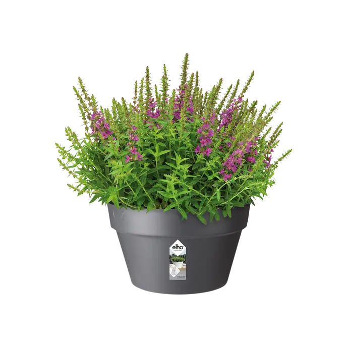 Elho Loft Urban Bowl 35cm