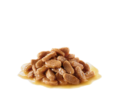 ROYAL CANIN Medium Puppy Gravy Pouch (140g)
