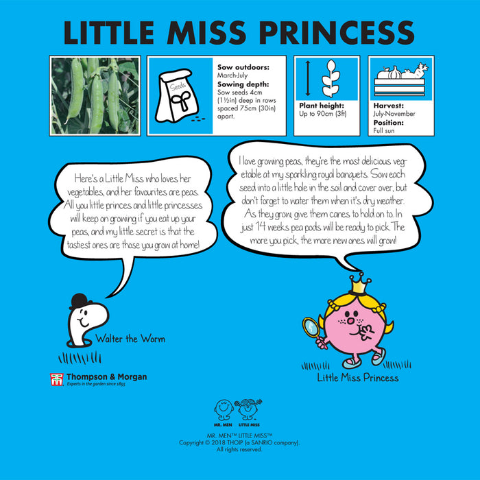 Mr. Men™ Little Miss™ - Little Miss Princess - Pea 'Terrain'