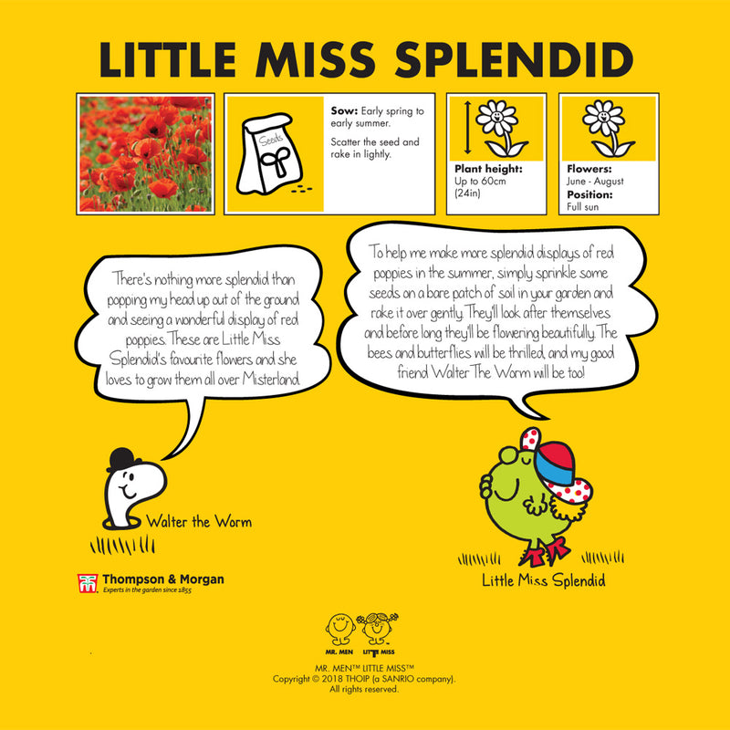 Mr. Men™ Little Miss™ - Little Miss Splendid - Poppy 'Flanders'