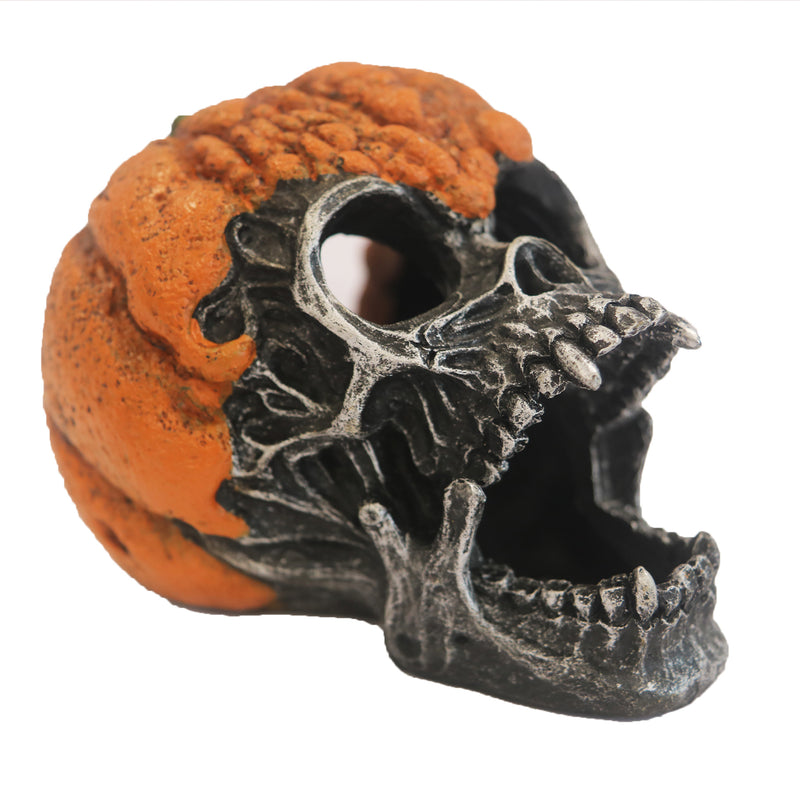 Betta Pumpkin Skull