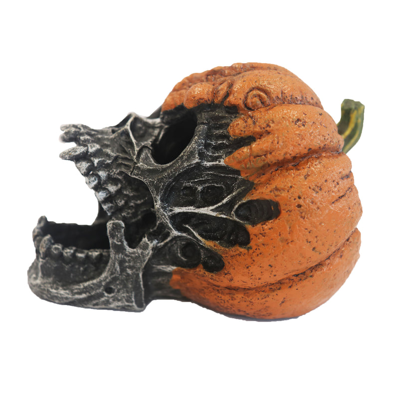 Betta Pumpkin Skull