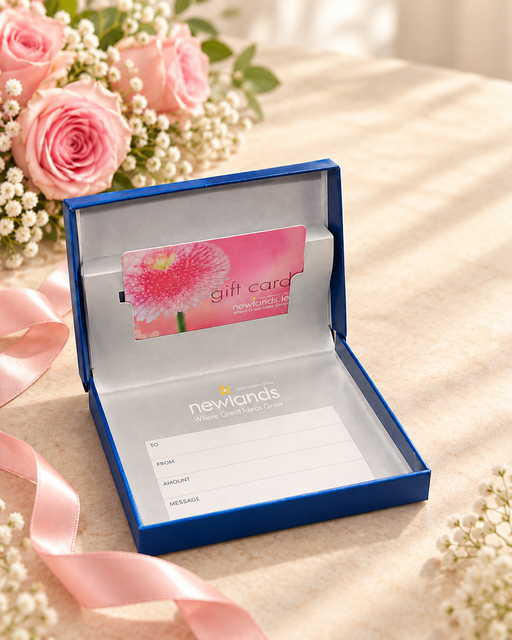 Daisy gift voucher shown inside optional Newlands blue presentation box