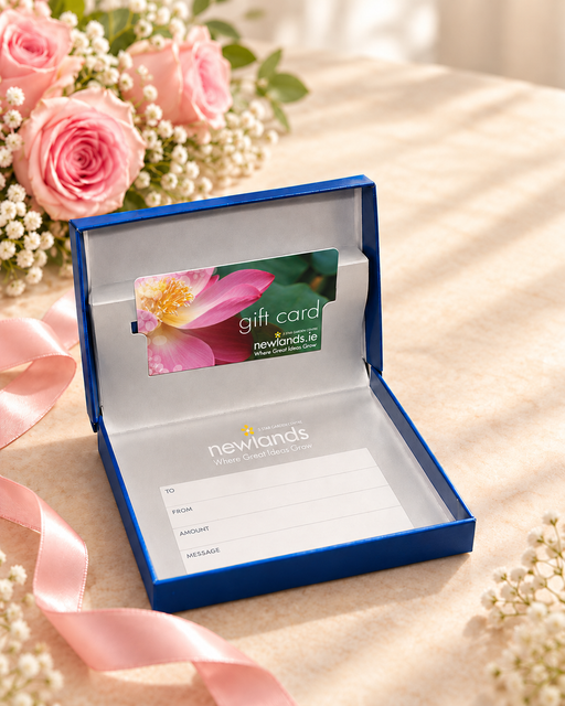 Lily gift voucher shown inside optional Newlands blue presentation box