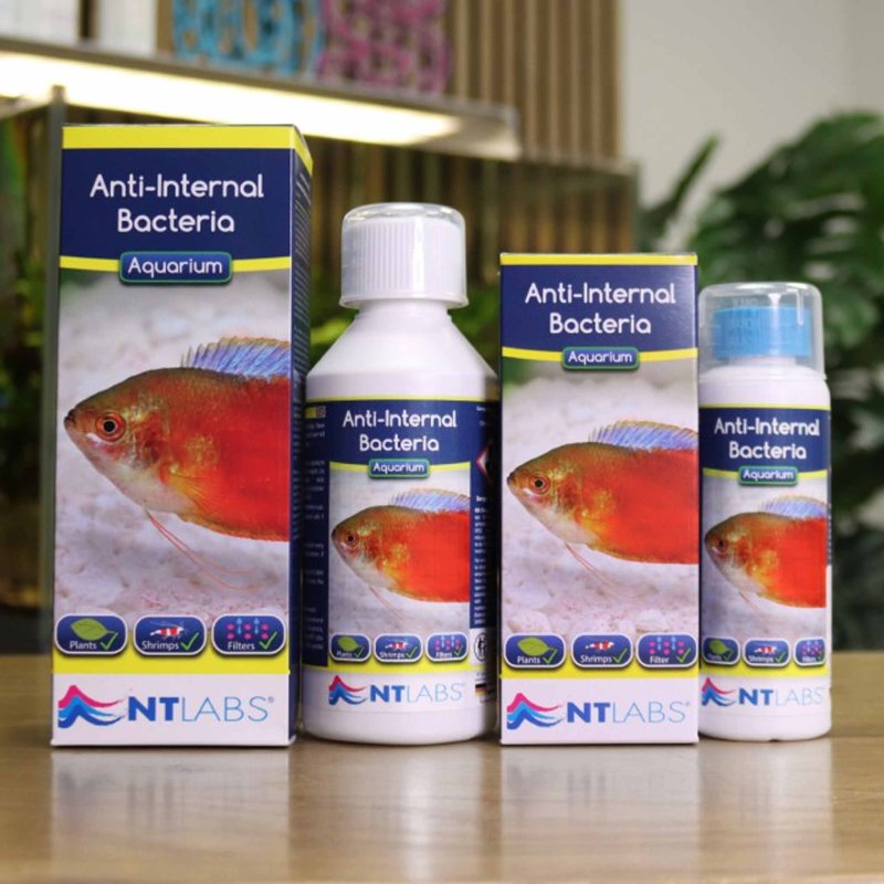 NT Labs Aquarium Anti-Bacteria 100ml