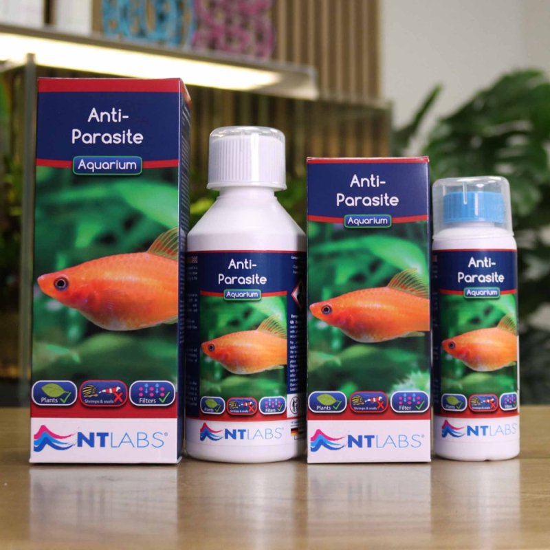 NT Labs Aquarium Anti-Parasite 250ml